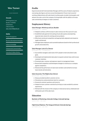 Sales Manager resume examples & templates