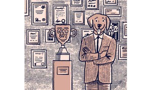 Certificaten op je cv (beste tips + voorbeelden)