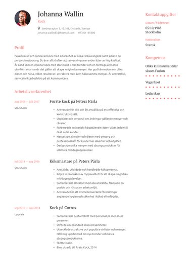 Professionella cv-mall Elegant