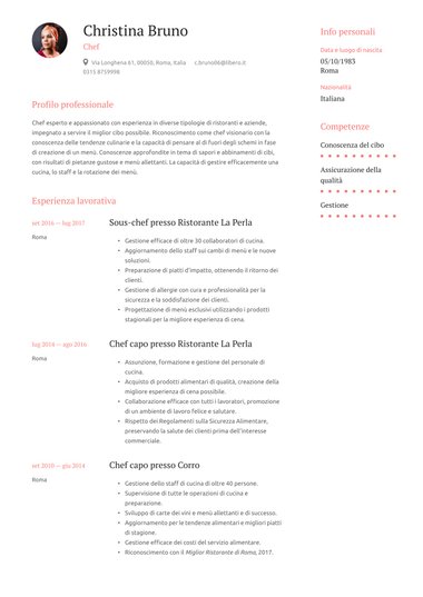 Modello di curriculum Professionali – Elegant
