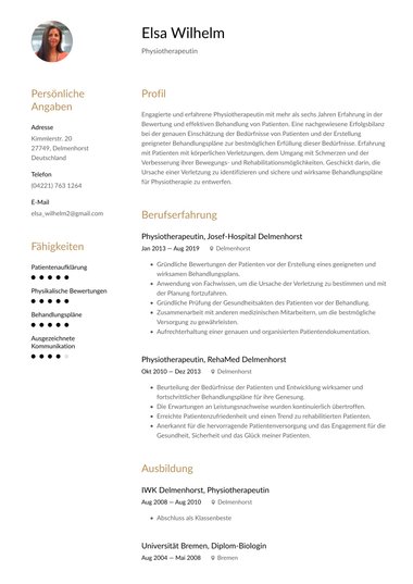 Professionell Lebenslauf-Vorlagen Harmonisiert