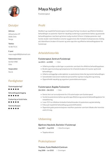 Profesjonell CV-mal Harmonized