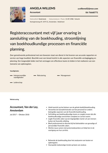 Simpel cv-template Half gekleurd