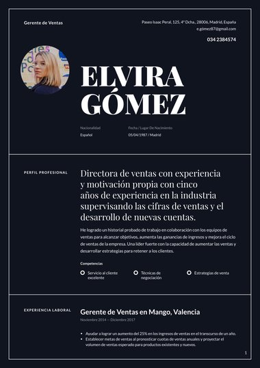 Profesional plantilla de currículum Sólido