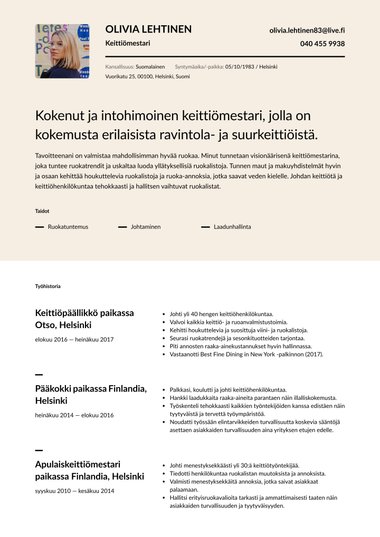 Moderni ansioluettelopohja Half Tone