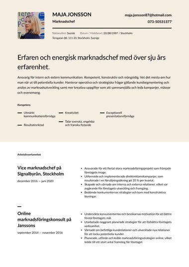 Professionella cv-mall Tvåfärgad