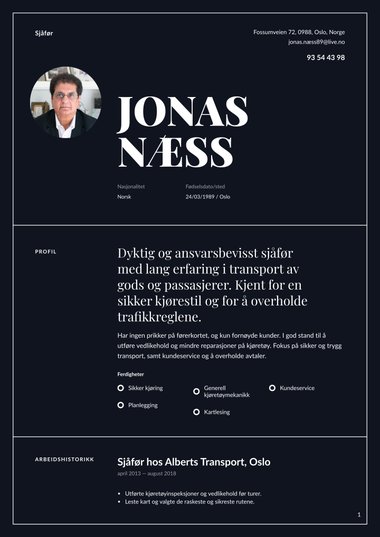 Profesjonell CV-mal Authority