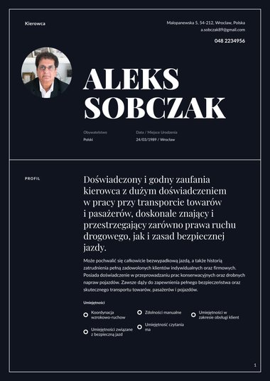Szablony cv z jedną kolumną szblon CV Authority