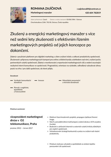 Profesionální šablona životopisu Tónovaná