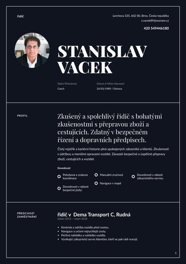 Profesionální šablona životopisu Autoritativní