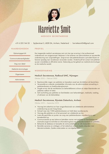 Ats cv-template Visionair