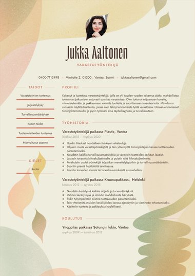 Moderni ansioluettelopohja Visionary