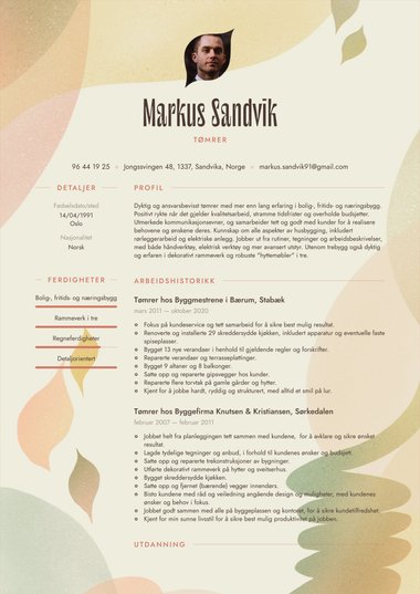 Kreativ CV-mal Visionary