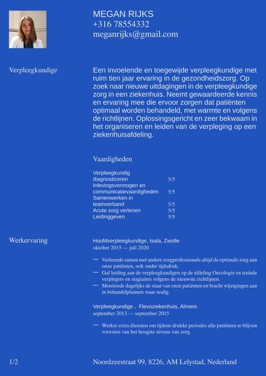 Simpel cv-template Statement