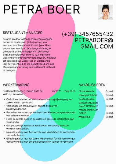 Twee kolommen cv-template Kleur spetter