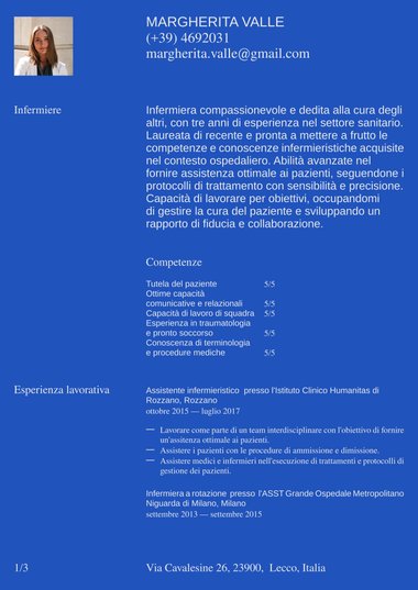 Modello di curriculum Professionali – Statement