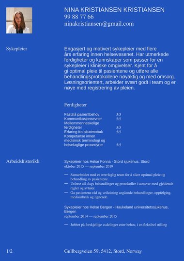 Profesjonell CV-mal Statement