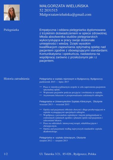 Szablony cv z jedną kolumną szblon CV Statement