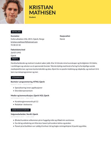 Moderne CV-mal Vivid