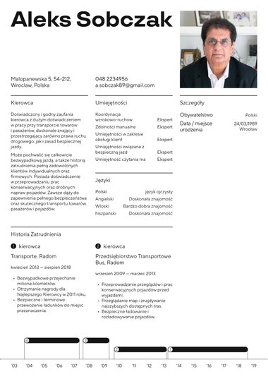 Nowoczesny szblon CV Executive