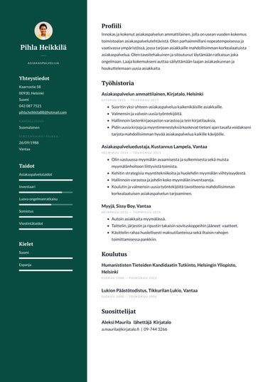 Yhden sivun ansioluettelopohja Professional