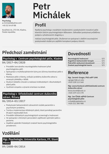 Profesionální šablona životopisu Definovaná