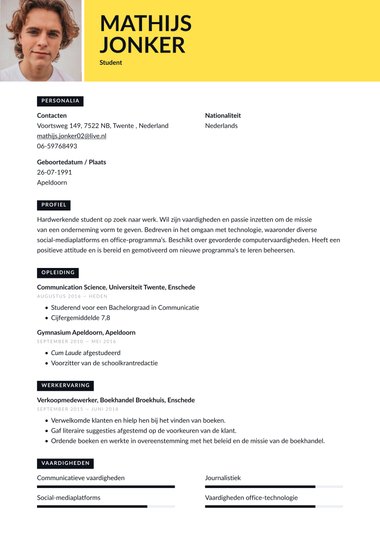 Eén kolom cv-template Levendig