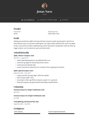 Enkel CV-mal Bold