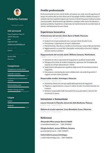 Modello di curriculum Aziendale – Professional