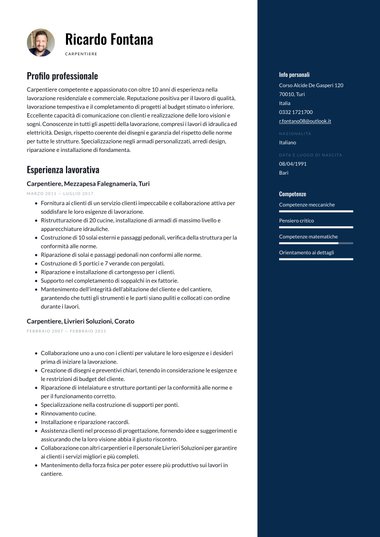Modello di curriculum Ats – Balanced