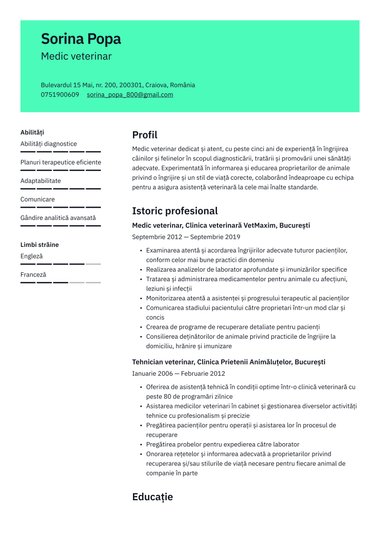 Model de CV Clear Profesionist