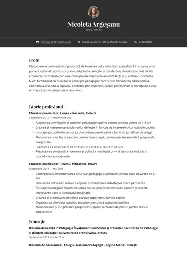 Model de CV Bold Simplu