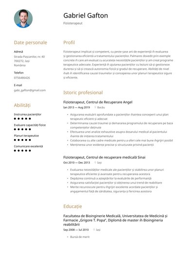 Model de CV Harmonized Profesionist