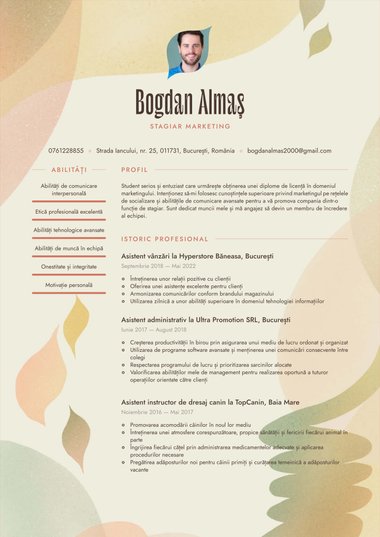 Model de CV Visionary Creativ