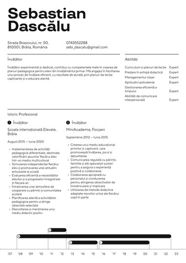 Model de CV Executive Modern