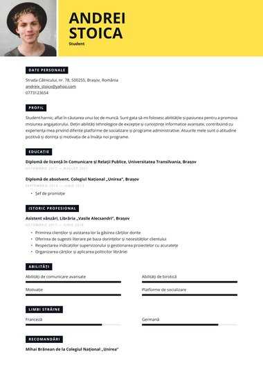 Model de CV Vivid Creativ