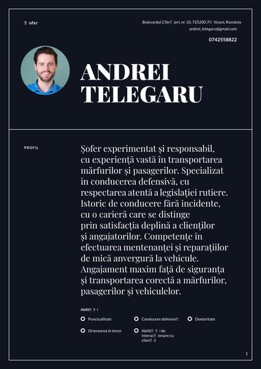 Model de CV Authority Simplu