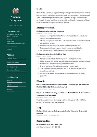 Model de CV Professional Profesionist