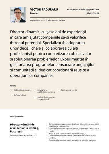 Model de CV Half Tone Simplu