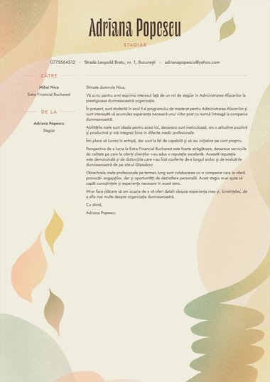 Model de scrisoare de intenție pentru Modern Visionary