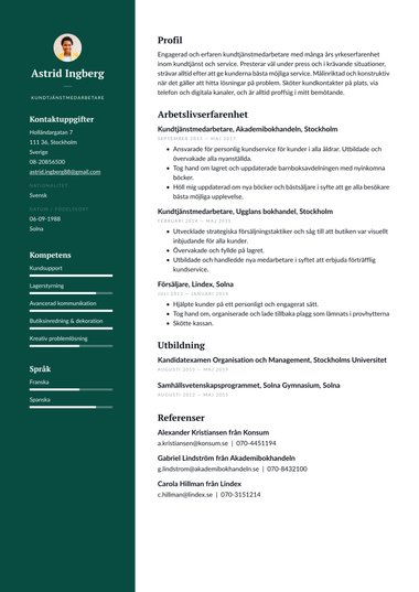 Professionella cv-mall Professionell