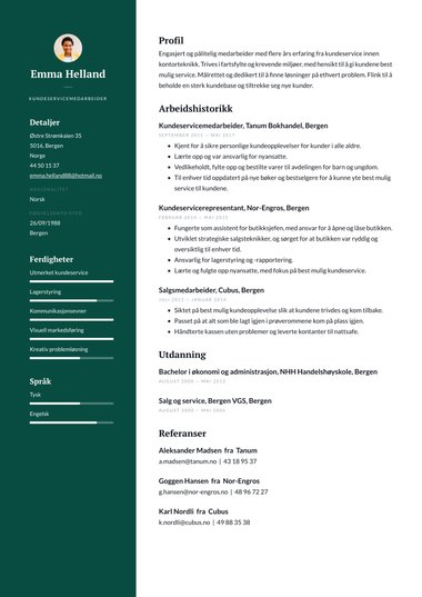 Profesjonell CV-mal Professional