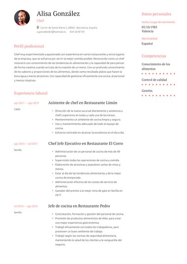 Profesional plantilla de currículum Elegante