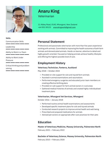 Creative resume template Clear