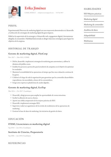 plantilla de currículum para Simple Pulido