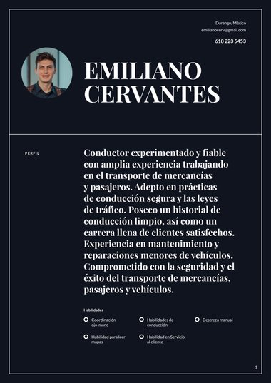 plantilla de currículum para Simple Oscuro