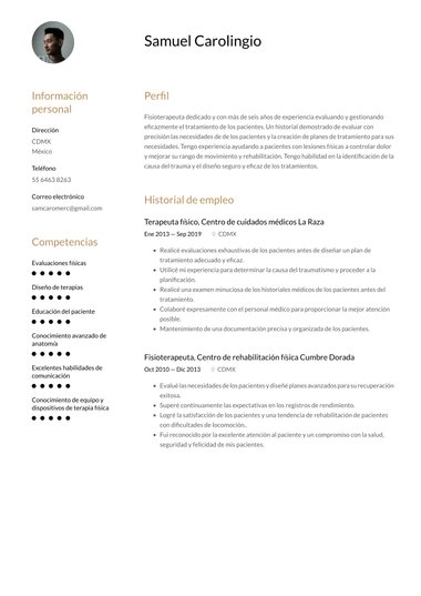plantilla de currículum para Minimalista Armónico