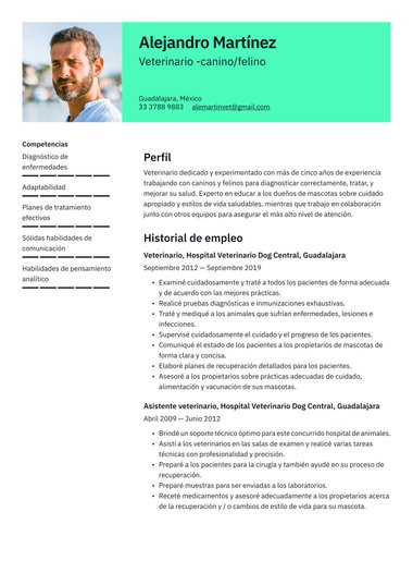 plantilla de currículum para Foto Claro