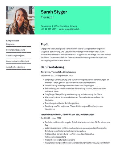 Lebenslaufvorlage «Clear» aus der Rubrik «Kreativ»