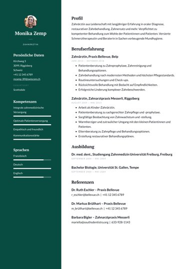 Lebenslaufvorlage «Professional» aus der Rubrik «Professionell»